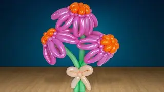 A flower of echinacea of balloons.(Subtitles)