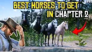 Top 5 Horses You Can Get in Chapter 2 | RDR2