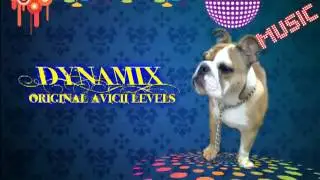 Avicii levels- DYNAMIX[AG]