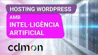 video hosting wp cat sin precio