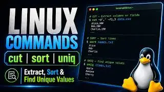 Introduction to Linux Command | Extract, Sort & Find Unique Values using cut, sort, and uniq