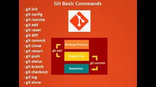 Git Basic Commands | Git Tutorial for Beginners | Git & GitHub | Git Basics for Automation