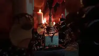 13 ноября 2023 г.