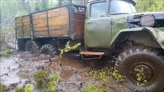 Что проходимее, Зил-131 или Урал? Фильм 2