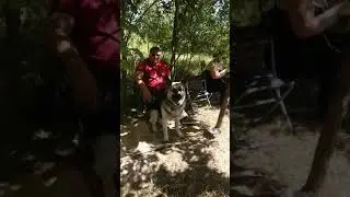 Племенной смотр питомника "ОЛЬВАЛ ДЭНИС 15 лет"