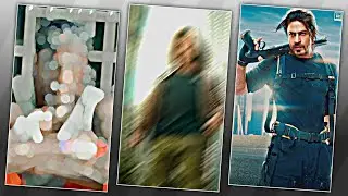 🔥Jhume Jo Pathan Trending Song Xml Video Editing 💯 Alight Motion Video Editing | Attitude Status