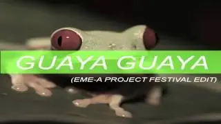 Don Omar - Guaya Guaya (Eme-A Project Festival Edit)