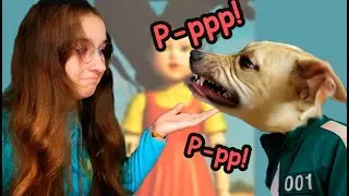 Игры в Кальмара в Реальной Жизни с щенком стаффа  Собака, попугай и сладкие соты
