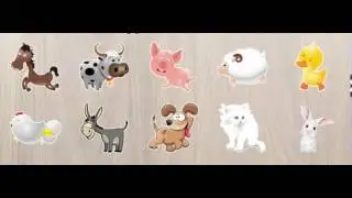 Учим животных вместе