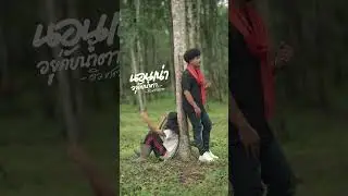 นอนเน่าอยู่กับน้ำตา - ดิว ศตวรรษ | TMG RECORD