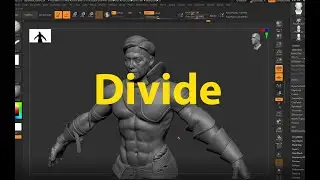 Học Cùng Master Zbrush - Divide 