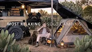 Relaxing SOLO Camping in Australian Bush with my Dog 🌵 Organized Car | Cozy Campfire Comfort ASMR