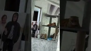 Ревности 🤣 