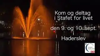 Stafet for Livet 9. 10. sept  Haderslev 2017