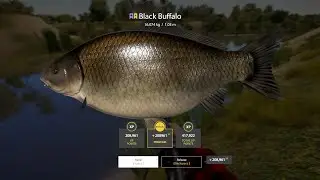 Russian Fishing 4 The Black Buffalo