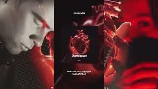 Макс Вертиго, PAKALENA - Забирай
