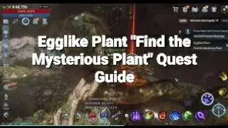 Egglike Plant 