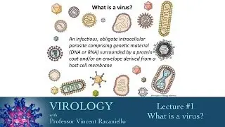 Virology 2014 lecture #1 - What is a virus?
