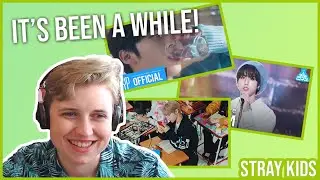 REACTION to STRAY KIDS: MINI MARATHON - EX, MIXTAPE: ON TRACK & MIXTAPE: GONE DAYS MVs (Request P1)