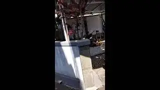 slmt hr ry idul adha 1444H