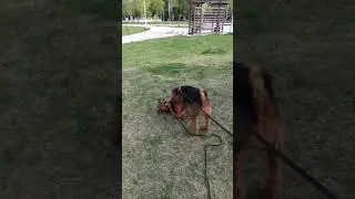 Как же хорошо весной!!