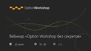 Вебинар Option Workshop без секретов 2016/06/23
