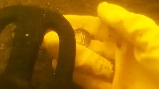 Antras nėrimas su Nemo Blu3 sistema. Quest Scuba Tector bandymas [Underwater Metal Detecting]