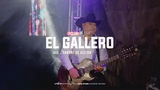 El Gallero - Sangre de Accion (sesion en vivo)