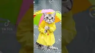 Чё у вас там? Дождь идёт?
