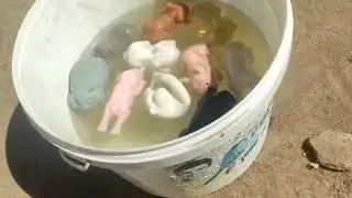 мини влог на даче🐶🌳🌺