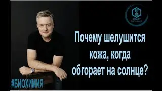 Биохимия: Почему шелушится кожа, когда обгораем на солнце?