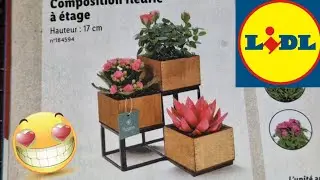 ARRIVAGE LIDL 24 MAI 2023 AU 29 MAI 2023