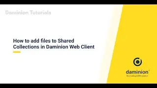 How to add files to Shared Collections in Daminion Web Client