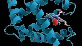 Metabolism | Wikipedia audio article