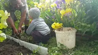 2015_земледелие с дедулей