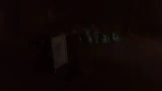 О чем поет ночная птица?