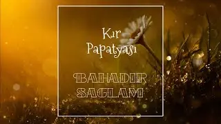 Kır Papatyası-Bahadır Sağlam, lyrics and English translation