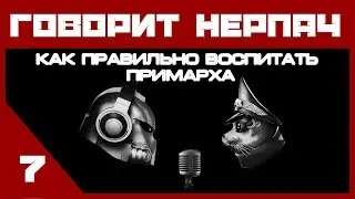 #7 ГОВОРИТ НЕРПАЧ — Как воспитать Примарха?