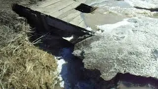 Ручей Зуевский Ключик бурлит в Тайшете