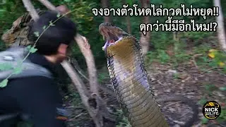 ลุยดิบ EP.136 ดุกว่านี้มีอีกไหม!? จงอางตัวโหดไล่กวดไม่หยุด!!