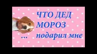 Что мне подарил Дед Мороз на Новый 2018 Год
