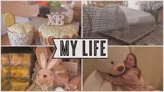 Обустраиваем дом 🏡 // Что нового? / Моя жизнь