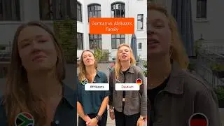 Do Afrikaans and German share similar family vocabulary? 🇩🇪🇿🇦