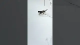 Чемпион!