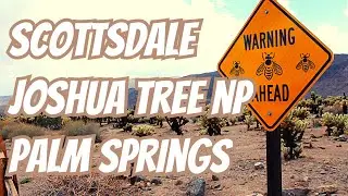 Parchi Nazionali USA:  SCOTTSDALE - JOSHUA TREE National Park - PALM SPRINGS 🌵 Viaggio in America