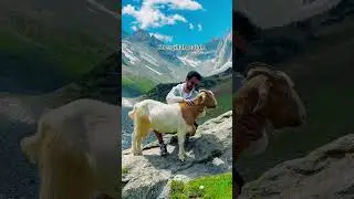 Sherqillah nalah: undiscovered location in gilgit baltistan. Perfect location for hiking and camping