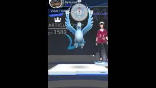 What, there's an Articuno in Pokemon Go now