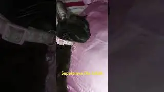 Ngantuk Banget