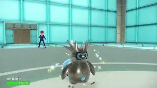 shiny iron bundle