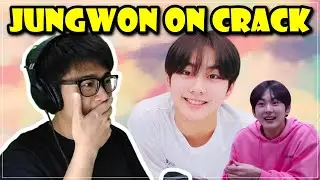 enhypen jungwon being jungwon (crack version) reaction